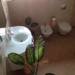 20140531 133910987 iOS