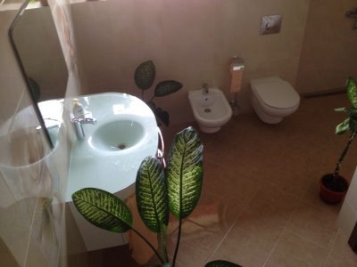 20140531 133910987 iOS