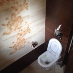 20140531 135944925 iOS