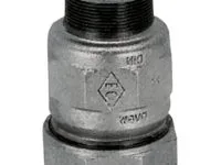 pocinkovana barza vrazka majka 746 1